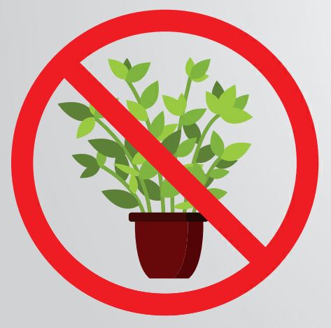 Forbudt tegn over en plante