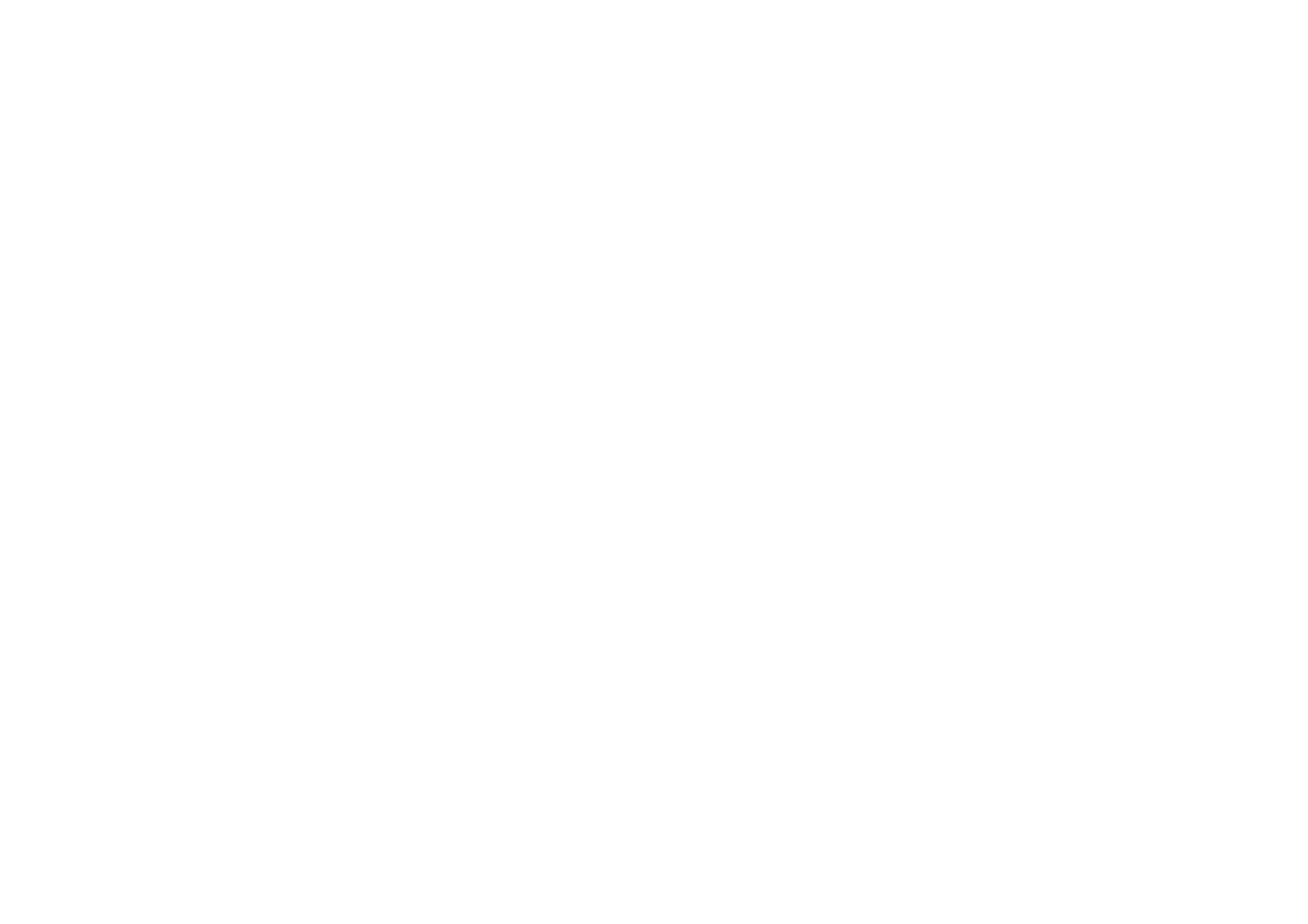 Logo Nyborg marina